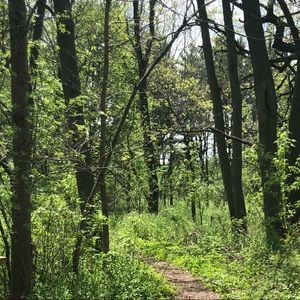 Meet your Posher, Marisol